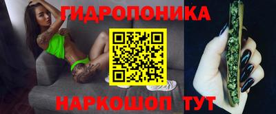трава Шахты