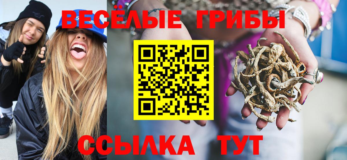 Галлюциногенные грибы GOLDEN TEACHER Дубна