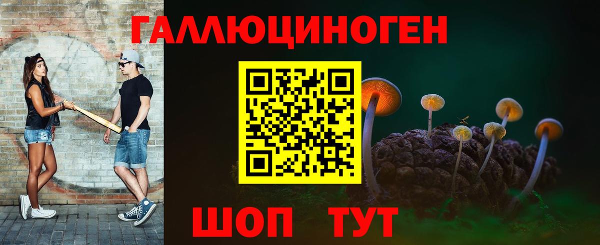 Галлюциногенные грибы Cubensis  Псилоцибиновые грибы Cubensis  Дубна  Вход с VPN 